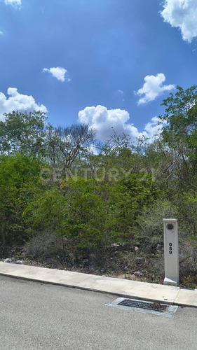 Terreno En Residencial Ubicado En Carretera Caucel - Hunucma, Yucatán