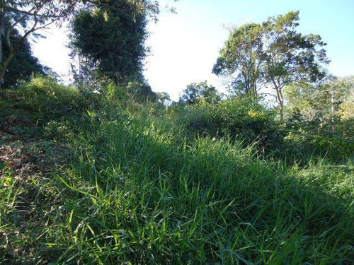Imagem 13 de 14 de Terreno Residencial À Venda, Itacorubi, Florianópolis. - Te0212