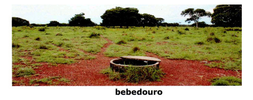 Venda De Fazenda Com Estrutura Completa Potencial Produtivo