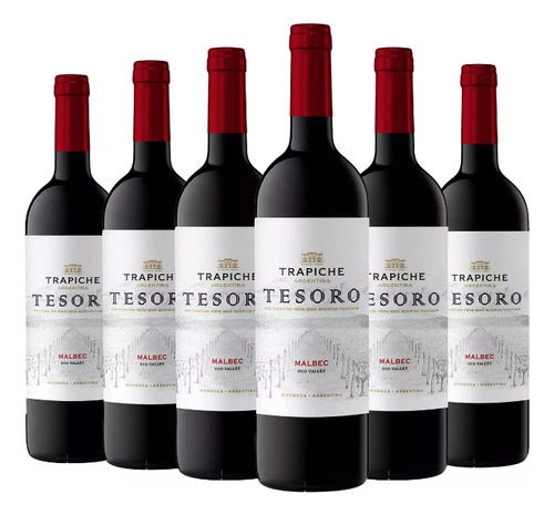 Vino Tinto Trapiche Tesoro Malbec Mendoza Caja X6