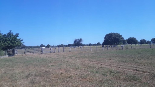 Imagem 16 de 17 de Fazenda - Área Rural A Venda Em Barão De Melgaço - Mt - Fa0191