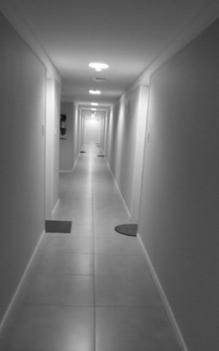 Ótimo Apartamento De 3 Dormitórios - 3970
