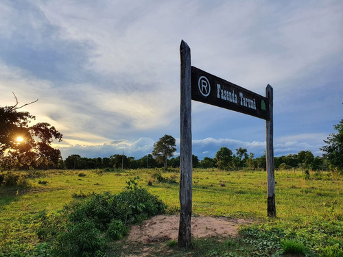 Imagem 4 de 30 de Fazenda 1470 Hectares, Fácil Acesso, Rica Em Água Com Açudes, Mangueiro Completo, Casa Sede, Casa De Funcionário, 700 Hectares Formadas Em Brachiaria - Fa00219 - 70654361