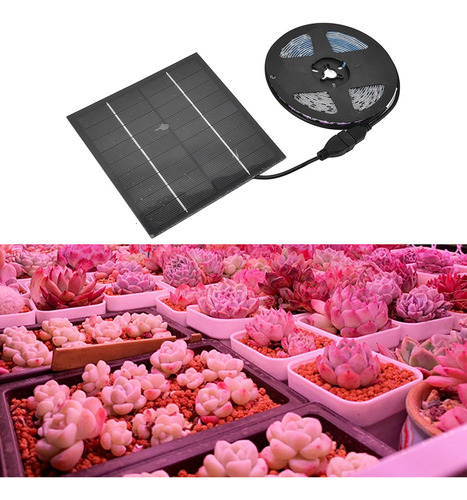La Planta Solar Crece La Tira Ligera Eco Friendly 5w Llevó A
