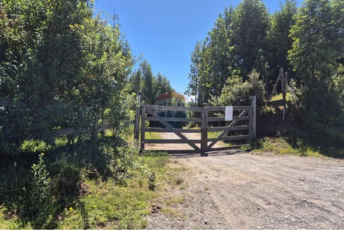 Venta Parcela C/ Acceso A Lago San Antonio Chiloe