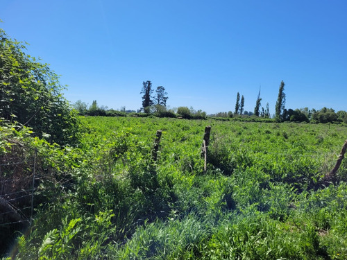 Terreno De 2,5 Há, En Cuñibal, Cercano A Los Ángeles