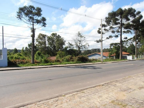 Imagem 4 de 15 de Terreno Para Venda Em Quatro Barras, Jardim Orestes Thá - Te-026_2-175650