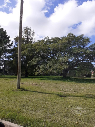 Imagen 3 de 7 de Terreno De 1.000 M2 En Beverly Hills, Punta Del Este.
