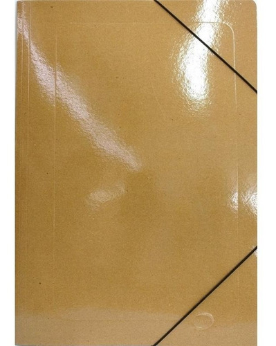 Carpeta Oficio 3 Solapas X 25 U Con Elastico Carton Marron