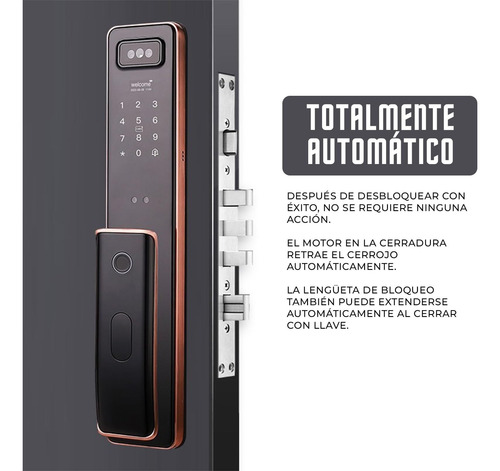 Cerradura Electrónica Inteligente Wifi Seguridad 3d Facial