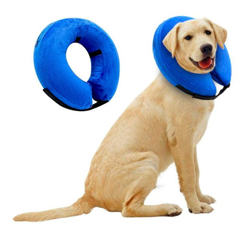 Collar Isabelino Inflable Protector Perros Gatos Talla Xl