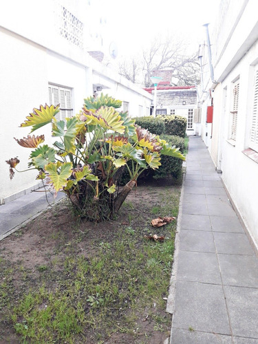 Imagen 3 de 11 de En Venta Departamento2 Amb. S/ Expensas, P.b En San Bernardo
