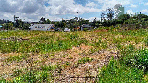 Imagem 1 de 12 de Área Industrial À Venda, Braga, São José Dos Pinhais - Ar0017. - Ar0017