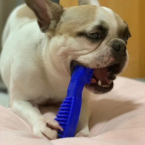 Mordedor Pet Escova Em Nylon M