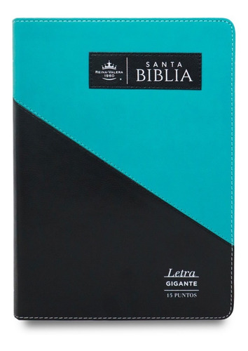 Biblia Rvr1960 Gigante Triangular Canto Dorado Turques/negro