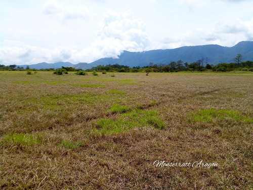 Increíble Terreno Con Manantial