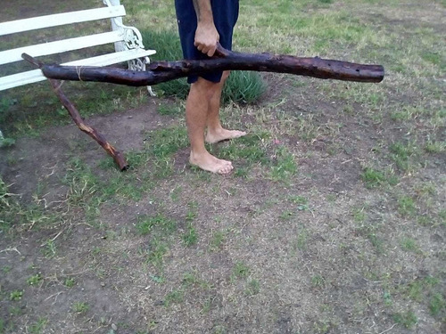 Imagen 5 de 7 de Didjeridoo, Didgeridoo De Eucaliptos Para Música , Yoga.