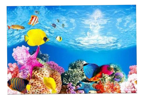 Acuario Pecera Cartel Espesar Pvc 30x52cm Tipo A - 30x52cm