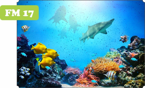 Imagem 8 de 10 de Adesivo Aquário Fundo Do Mar Oceano Peixe Até 2m²