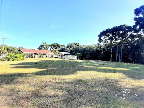 Imagem 1 de 20 de Chácara À Venda, 7301 M² Por R$ 605.000,00 - Borda Do Campo - São José Dos Pinhais/pr - Ch0069