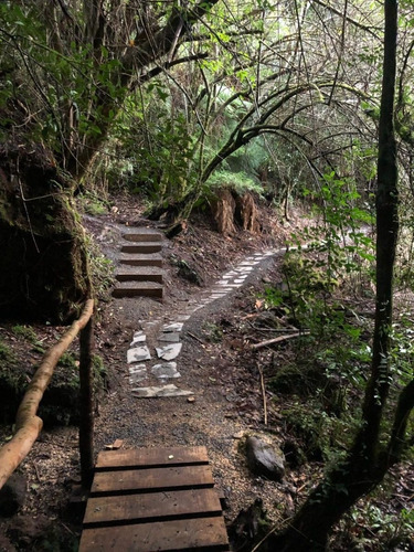 Imagen 17 de 27 de Hermosas Parcelas Insertas En El Bosque Nativo En Pucon