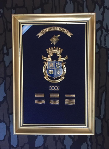 Imagen 1 de 1 de Cuadro Grados Ejercito Argentino