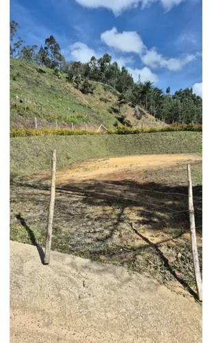 Rhbr-12729 (lote San Vicente Vda Chaparral)