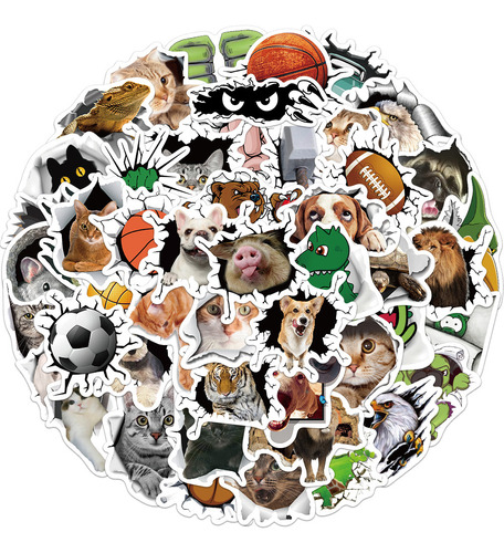 Pegatinas De Animales Divertidos Para Niños Calcomanías Imp
