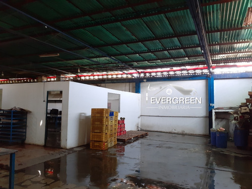 Imagen 5 de 8 de Galpón En Venta Pozuelos - Puerto La Cruz 04248116548