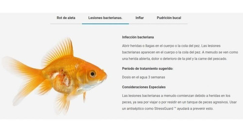Neoplex 10gr Seachem Medicamento Para Peces