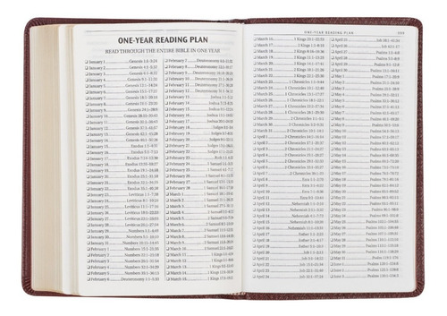 Imagen 8 de 9 de Biblia En Inglés King James Version Tamaño Compacto Café