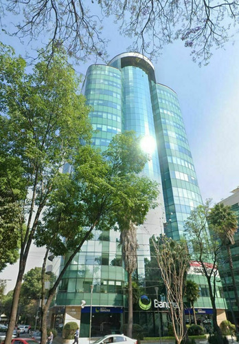 Excelente Oficina Acondicionada En Renta De 335 M2 En Insurgentes Sur N9