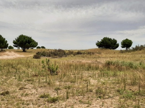 Imagen 12 de 12 de Terrenos De 4,5 Hectareas Cerca Del Mar Zona Mar Azul