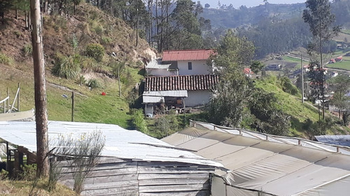 For Sale Peaceful Property & Home In The High Mountains Of Cuenca