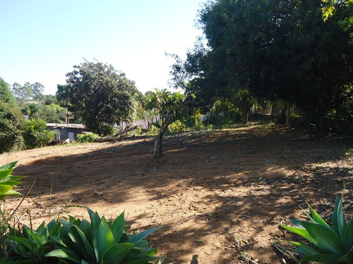 Imagem 10 de 12 de Boa Chácara Próximo A Cidade C/8000m2
