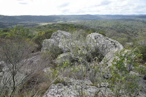 Excelente Oportunidad!! Chacra De 7,8 Has En El Paraje La Coronilla, Aiguá