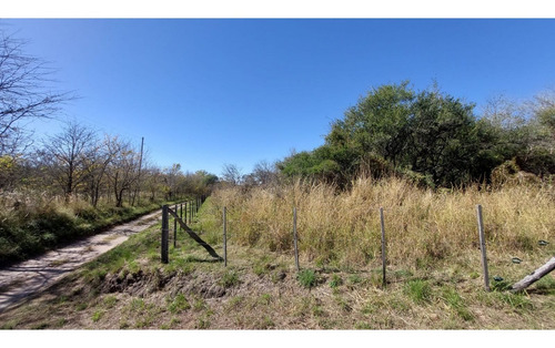 Imagen 3 de 5 de Fracción De 4.1 Ha En Falda Del Carmen. Lote N° 7
