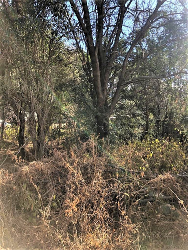 Imagen 5 de 8 de Lote En Venta En Barrio La Toma