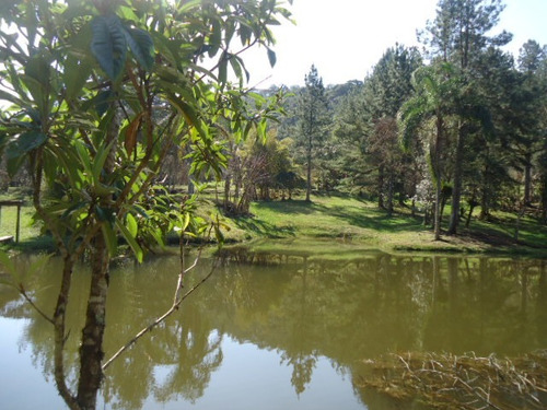 Imagem 9 de 14 de Excelente Sitio Com Lago Ref 1290