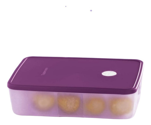 Frigofechador Tupperware . Recipiente Para Congelar Alimento