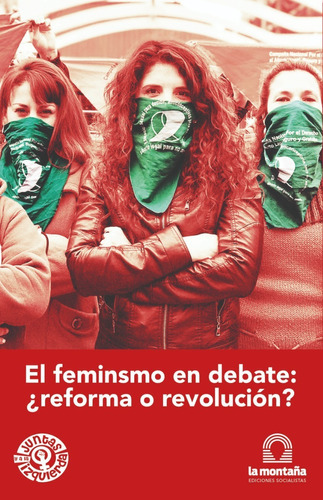 El Feminismo En Debate ¿reforma O Revolución?, De Cele Fierro. Editorial La Montaña, Ediciones Socialistas, Tapa Blanda, Edición Primera En Español, 2019