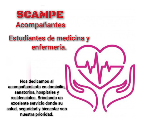 Acompañante Y Cuidado De Enfermos, Pacientes, Adulto Mayor 