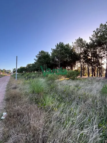 Terrenos En Venta Financiados Últimos En Montes De Solymar