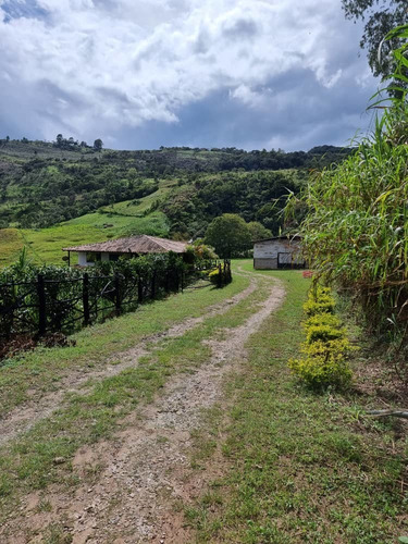 Imagen 8 de 14 de En Venta Hermosa Granja Sector Los Ranchos Vías Las Guamas