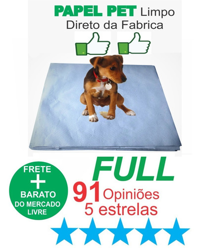 Jornal Pet Para Cachorro 60 X 60cm 250 Un Reciclado +brinde 