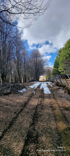 Sector Cerro Galera, Coyhaique (71829)