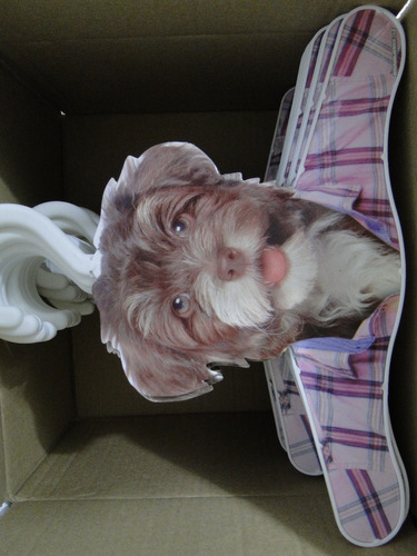Cabide Infantil Cara De Cachorro Shih Tzu Sheepdog Beagle