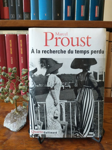 Marcel Proust, À La Recherche Du Temps Perdu, Gallimard.