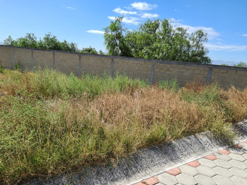 Terreno Venta 318 M2 Fraccionamiento Adoquinado Todos Servci