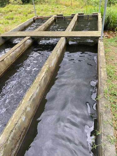 Finca Truchera Vendo